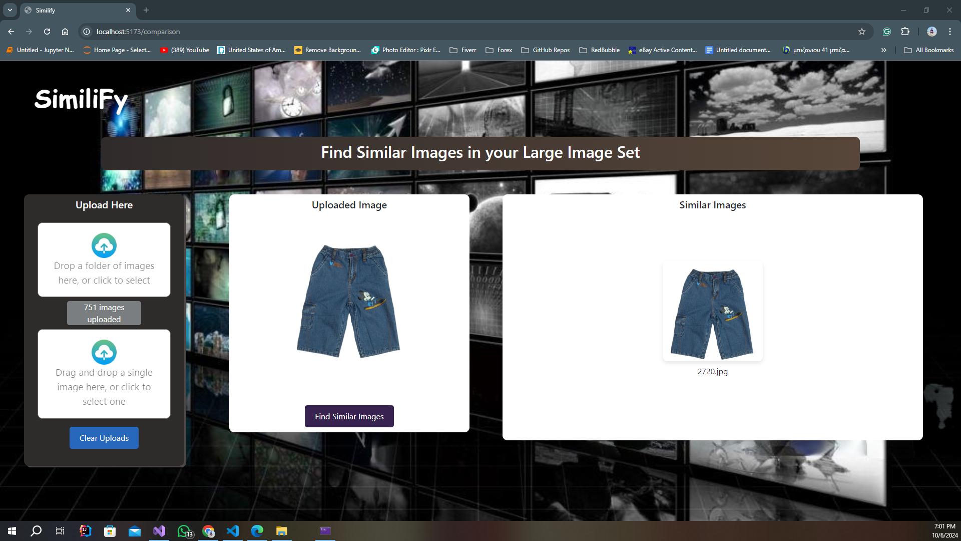 Project Image 3
