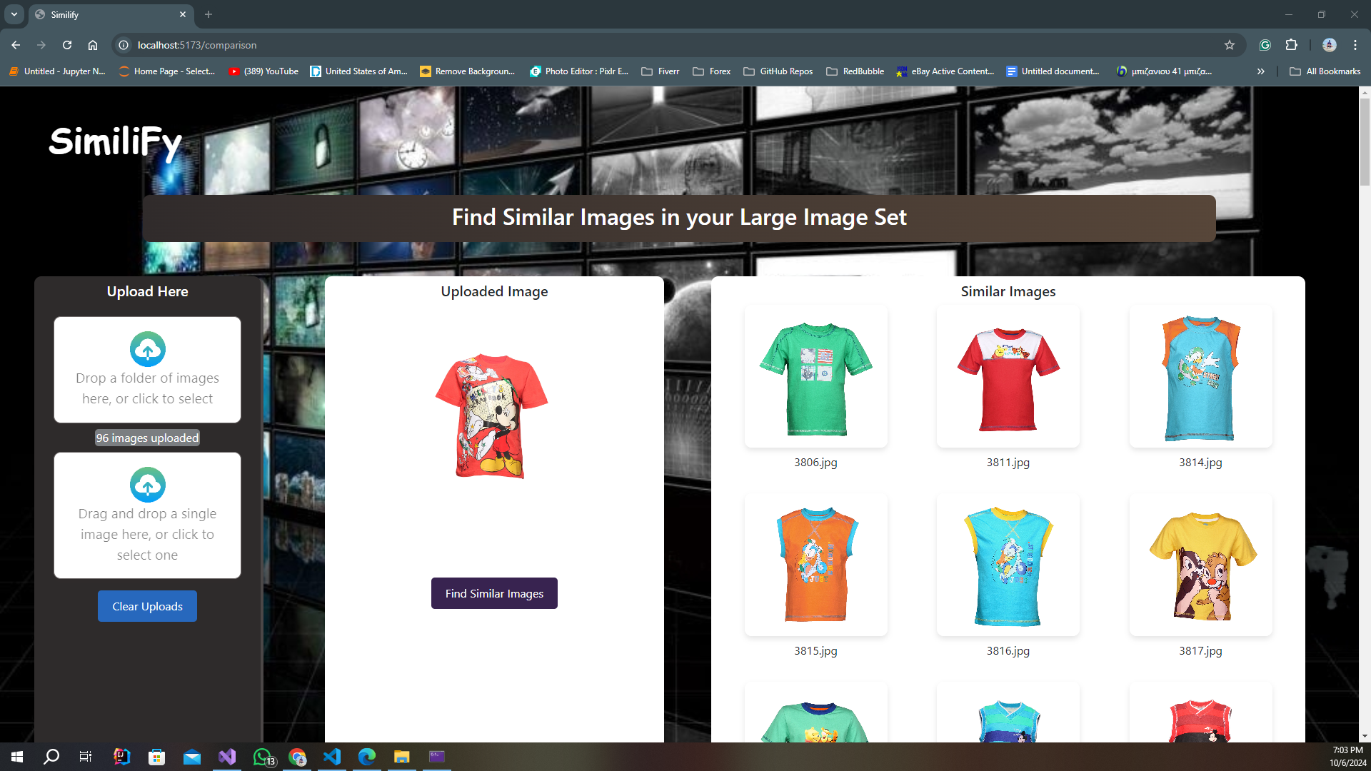 Project Image 3